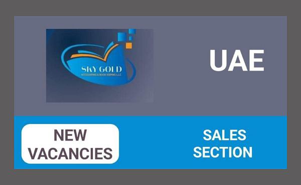 Sky Gold Accounting & Bookkeeping LLC Careers in UAE |Latest Job Opening 2024