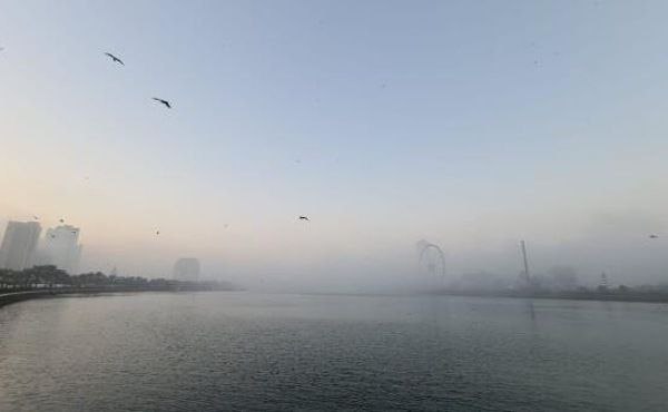 UAE weather: Yellow alert issued for fog; humidity by night