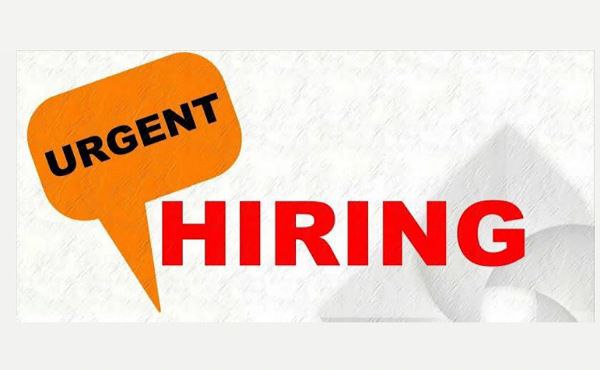 Urgent Hiring