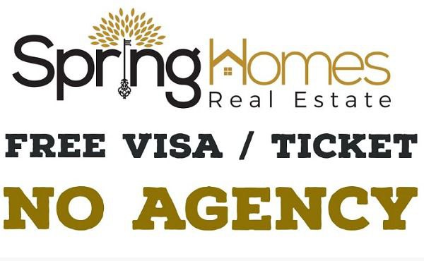 Spring Homes Real Estate Group Job 2023